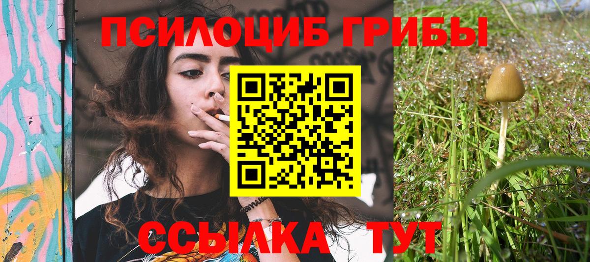 Псилоцибиновые грибы GOLDEN TEACHER Тавда