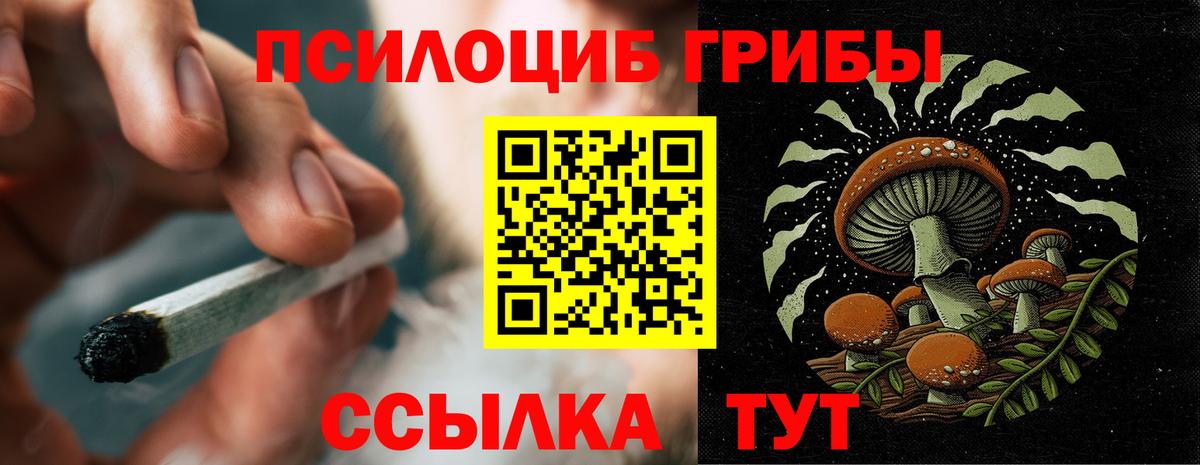 Галлюциногенные грибы Cubensis  Галлюциногенные грибы прущие грибы  Тавда  Вход с VPN 