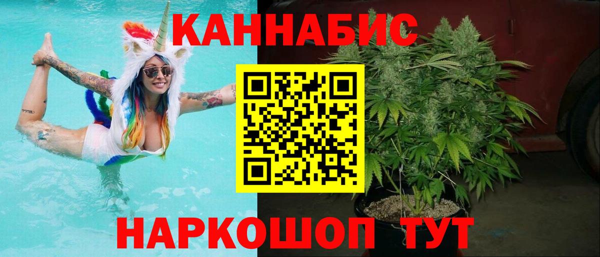 Шишки марихуана план Тавда